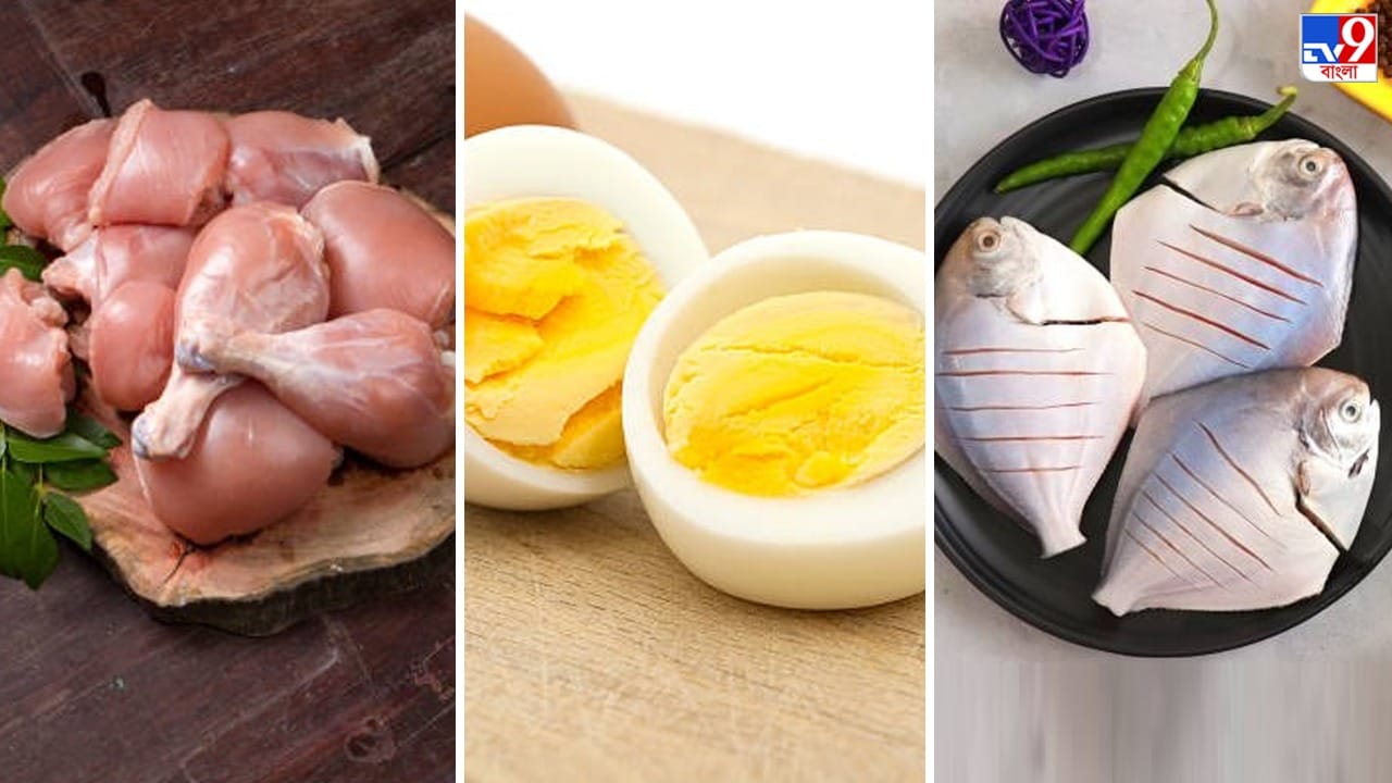 Protein for Weight Loss: মাছ-মাংস-ডিমে রয়েছে ভরপুর প্রোটিন, খেলে কি ওজন কমবে? Protein for Weight Loss: মাছ-মাংস-ডিমে রয়েছে ভরপুর প্রোটিন, খেলে কি ওজন কমবে?