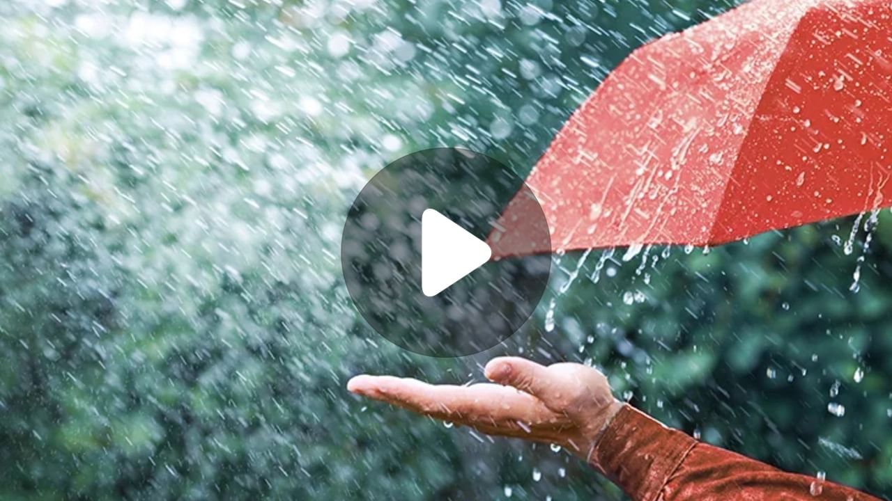 Rain Water Drinking Benefit হাজার রোগের ওষুধ বৃষ্টির জলে Bengali