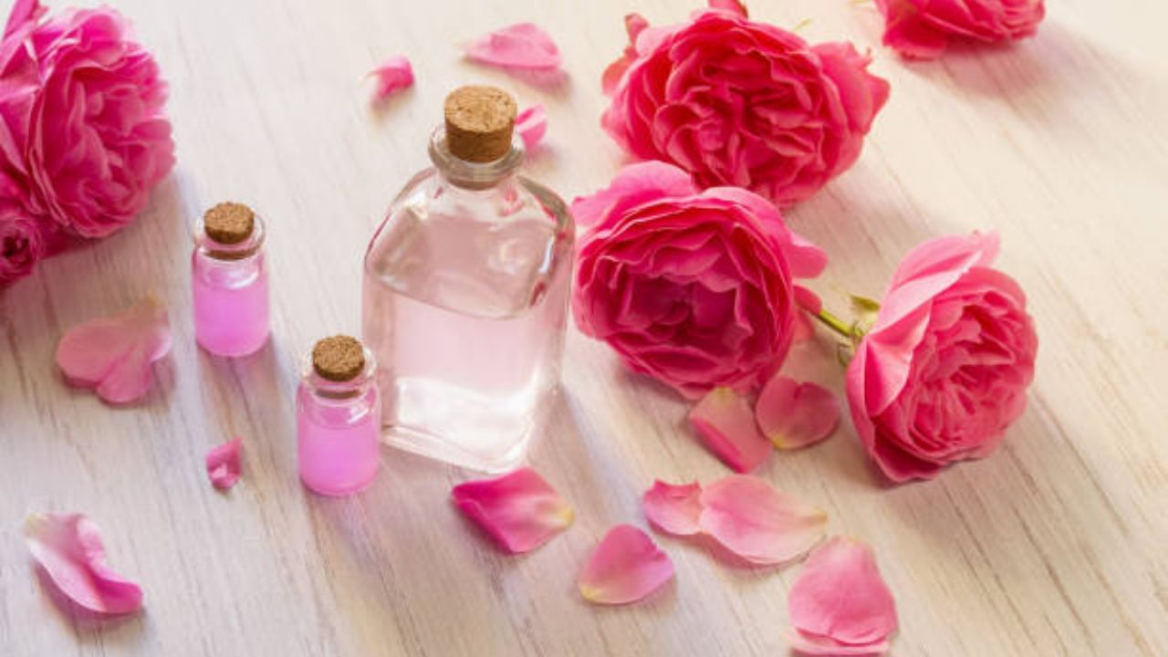 Rose Water FAQ: তেলতেলে হোক শুকনো, ত্বকের যত্নে গোলাপ জল কতটা জরুরি?