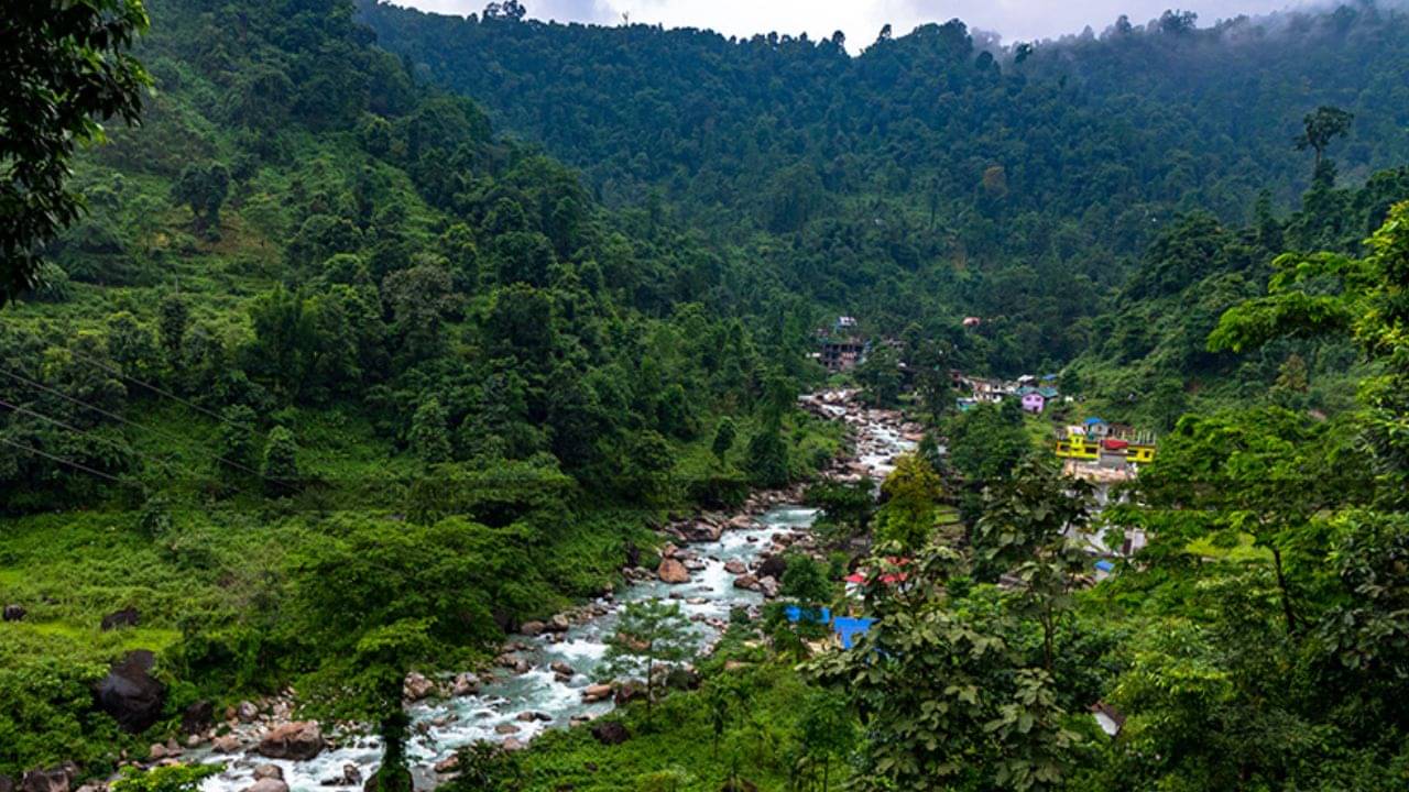 Dooars: বর্ষায় পাহাড় যেতে পারছেন না? মন খারাপ না করে বেছে নিন ডুয়ার্সের এই ডেস্টিনেশন