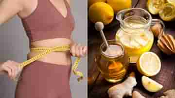 Detox Drinks for Weight Loss: চা-কফি ছেড়ে কী দিয়ে দিন শুরু করলে ওজন কমবে? রইল ৫টি ডিটক্স ওয়াটারের সন্ধান