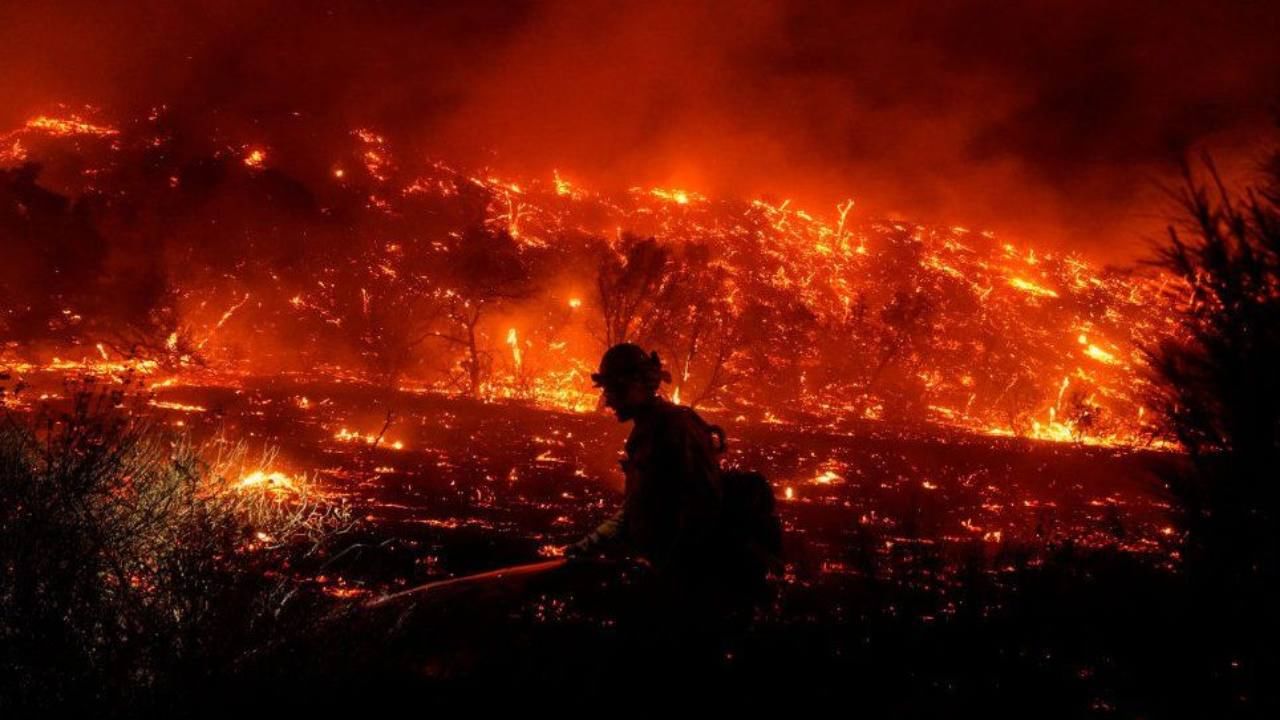 Canada Wildfire: ‘ইতিহাসের সব থেকে বড়’ দাবানল কানাডায়, দাউ দাউ করে জ্বলছে বনাঞ্চল