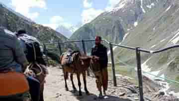 Amarnath Yatra: জম্মু-শ্রীনগর জাতীয় সড়কে ধস, ফের স্থগিত অমরনাথ যাত্রা