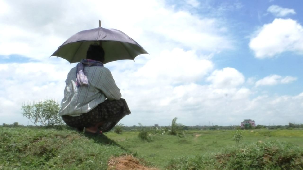 Bankura Farmers: আমন চাষে মাথায় হাত!