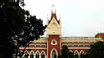 Calcutta High Court: ডিভিশন বেঞ্চে গিয়েও চরম ভর্ৎসনার মুখে উলুবেড়িয়ার BDO, মামলা ফিরল বিচারপতি অমৃতা সিনহার বেঞ্চেই