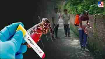 Dengue: ডেঙ্গির বাড়বাড়ন্ত নিয়ে উদ্বেগে নবান্ন, আজ বৈঠকে মুখ্যসচিব-স্বাস্থ্যসচিব