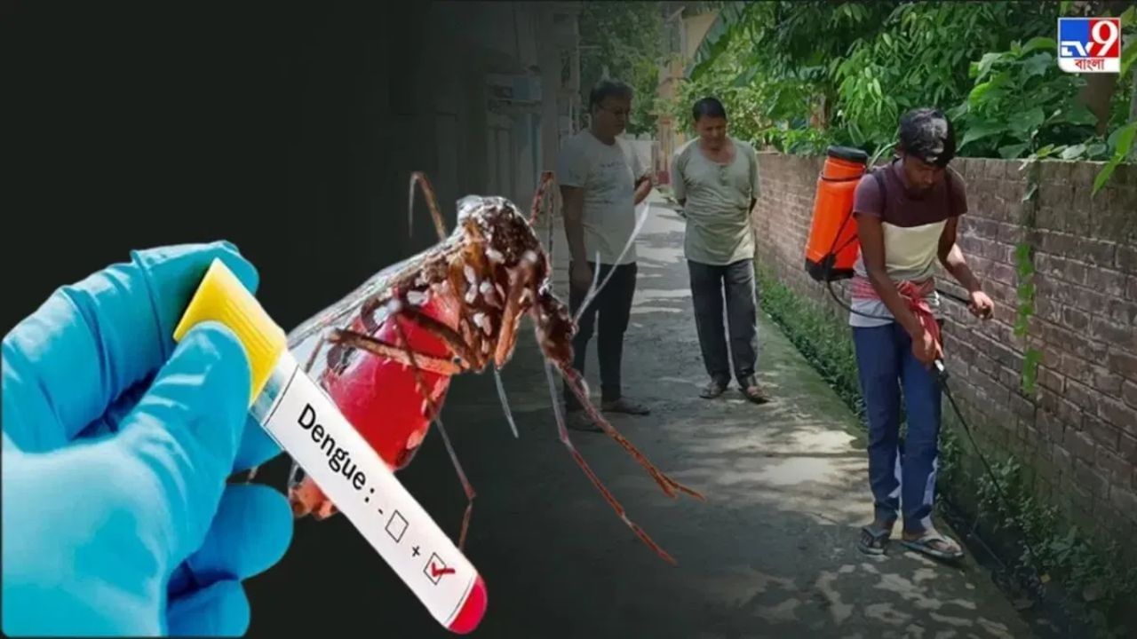 Dengue: ডেঙ্গির বাড়বাড়ন্ত নিয়ে উদ্বেগে নবান্ন, আজ বৈঠকে মুখ্যসচিব-স্বাস্থ্যসচিব