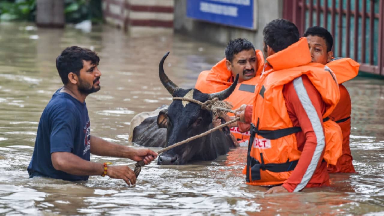 Delhi Flood: ডুবতে চলেছে কেজরীর বাংলোও, সঙ্কট পানীয় জলের, রবিবার পর্যন্ত কার্যত অচল দিল্লি