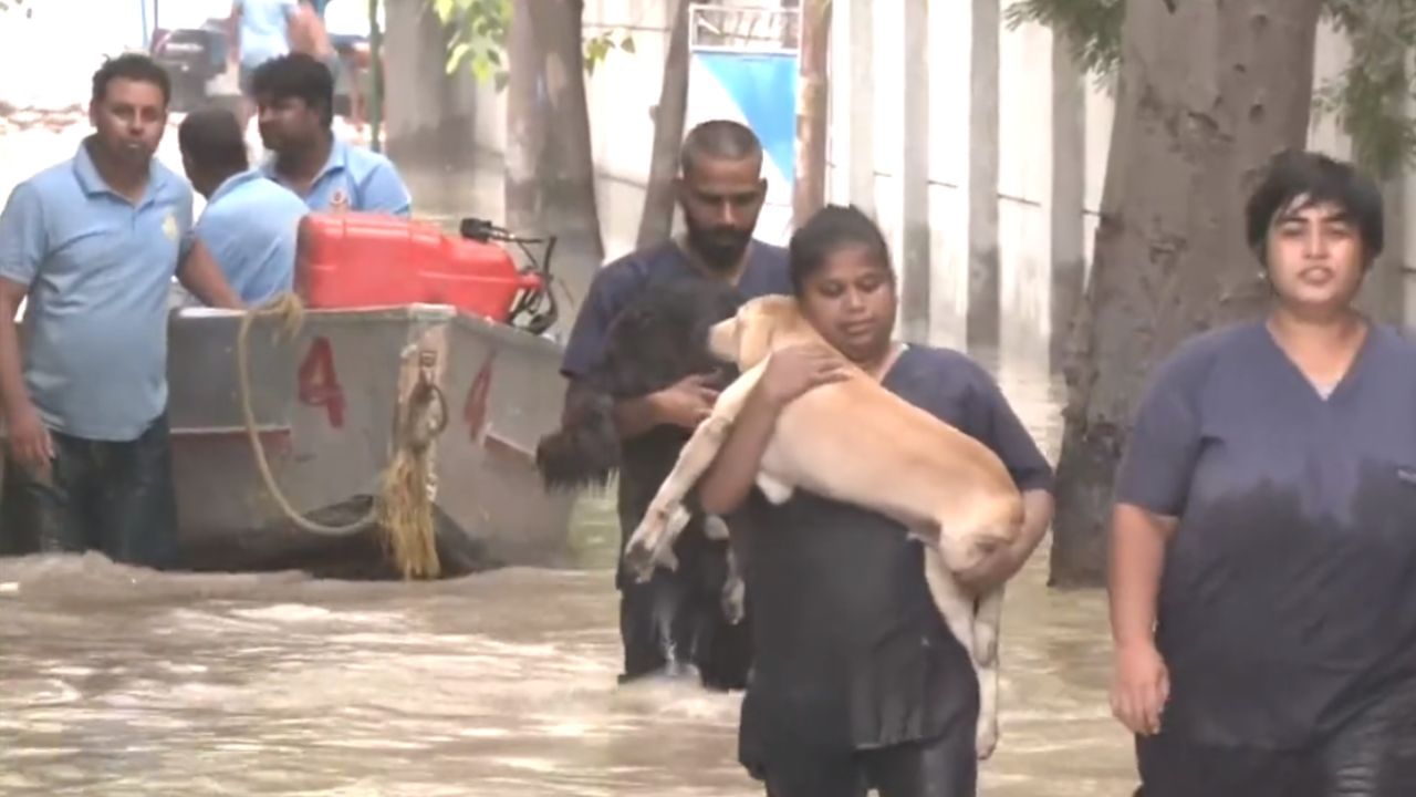 Delhi Flood: জলমগ্ন দিল্লির 'বিপদ' কাটেনি, জারি 'হলুদ' সতর্কতা, ময়দানে NDRF