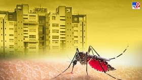 Dengue Outbreak: নবান্নের বৈঠকে বড় সিদ্ধান্ত, ডেঙ্গি দমনে আট দফার রণকৌশল রাজ্যের Dengue Outbreak: নবান্নের বৈঠকে বড় সিদ্ধান্ত, ডেঙ্গি দমনে আট দফার রণকৌশল রাজ্যের