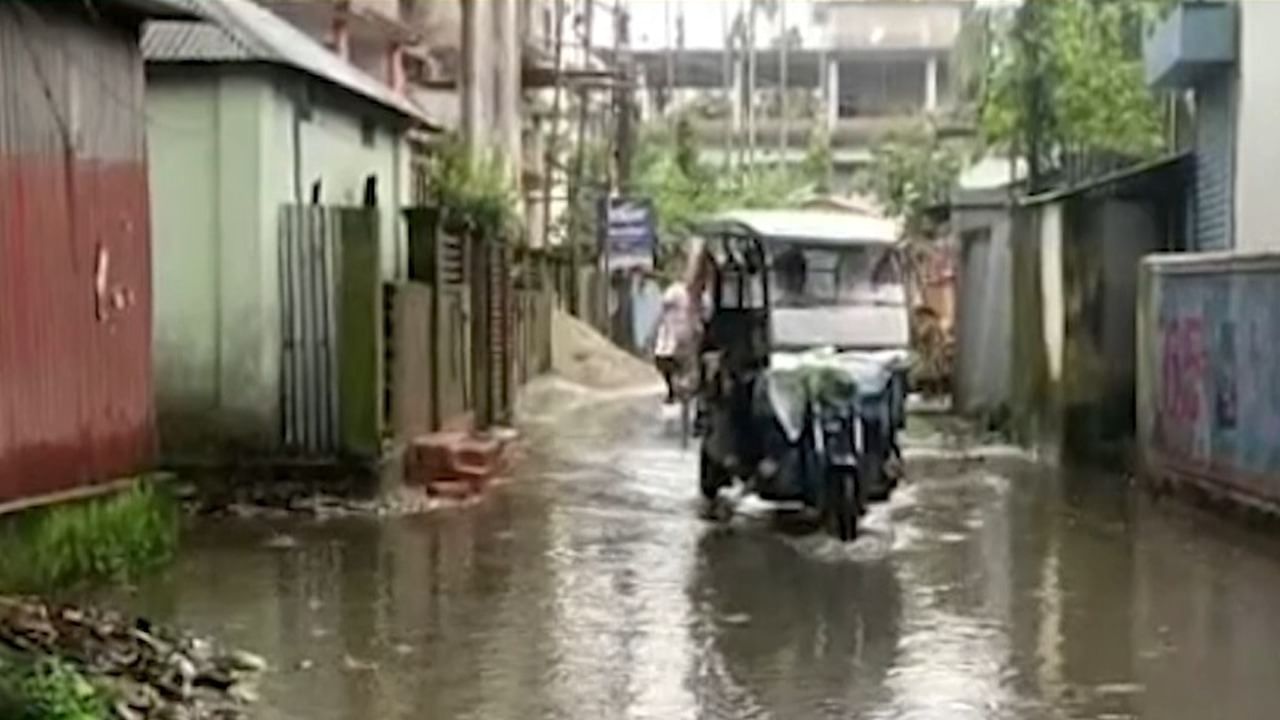 Dhupguri Flood: জলের তলায় জঙ্গল