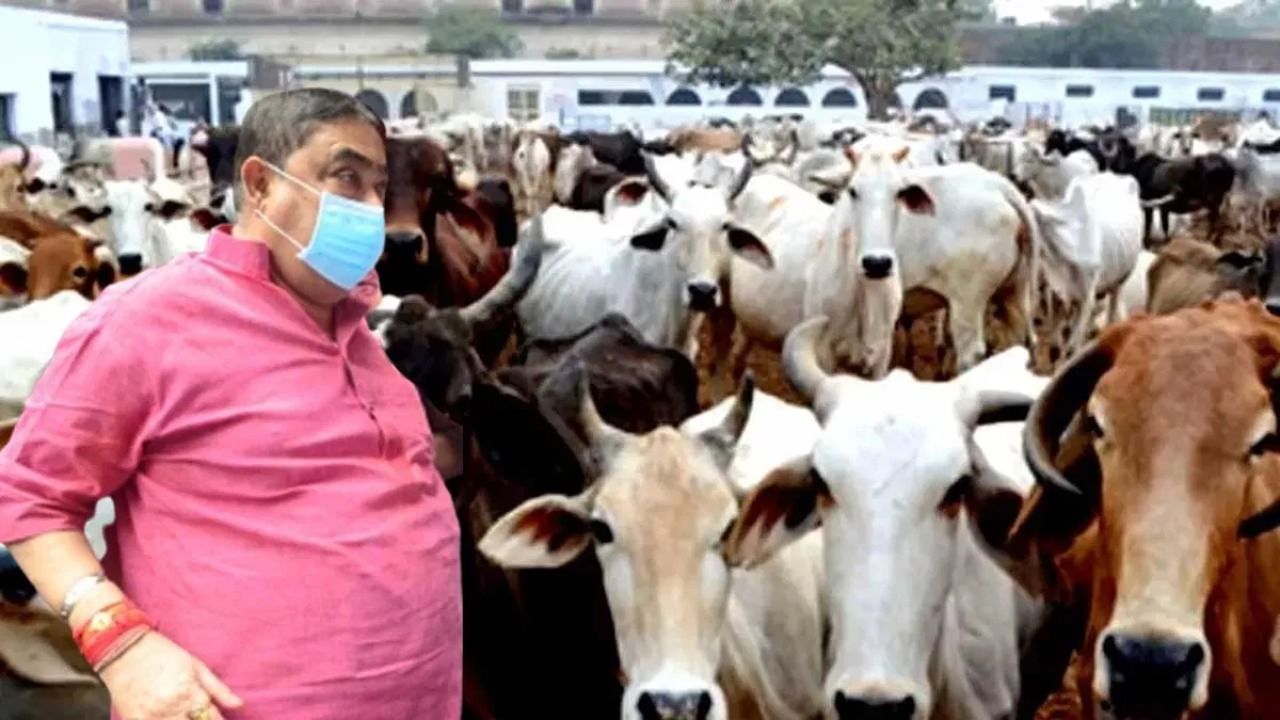 Cattle Smuggling Case: দিল্লিতে সরতে পারে গরু পাচার মামলার বিচারপ্রক্রিয়া? আদালতে আবেদন ইডির