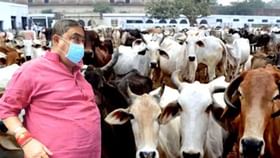 Cattle Smuggling Case: দিল্লিতে সরতে পারে গরু পাচার মামলার বিচারপ্রক্রিয়া? আদালতে আবেদন ইডির Cattle Smuggling Case: দিল্লিতে সরতে পারে গরু পাচার মামলার বিচারপ্রক্রিয়া? আদালতে আবেদন ইডির