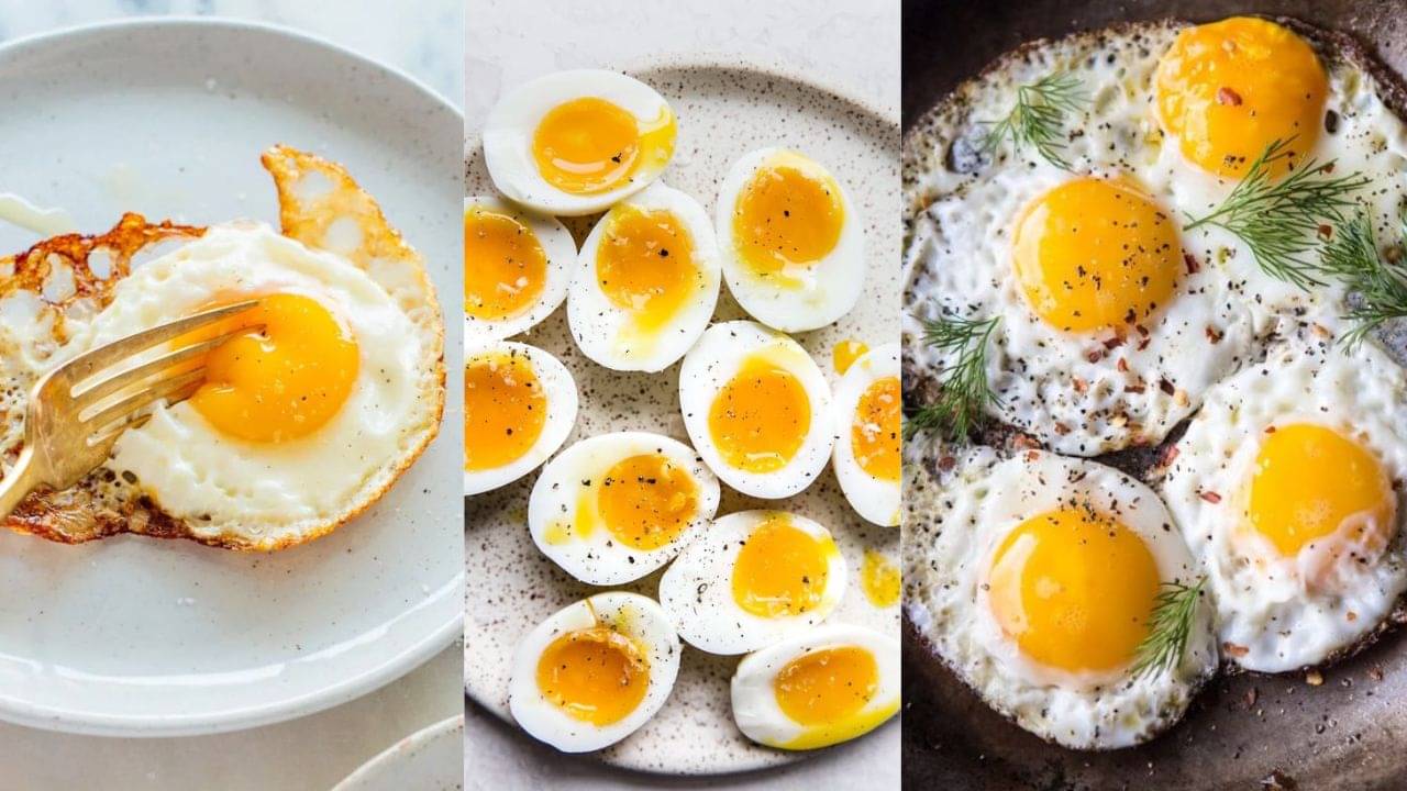 Egg For Health: ভেগানদের তালিকায় নাম লেখাতে পাত থেকে বাদ পড়েছে ডিম? জানুন কী বিপদ অপেক্ষা করছে