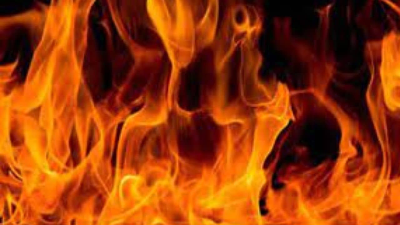 Fire in Mexico Bar: বদলা নিতে পানশালায় আগুন ধরাল ব্যক্তি, পুড়ে মৃত অন্তত ১১