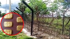 Gold Smuggling: কোদালের ভেতর সোনা! Gold Smuggling: কোদালের ভেতর সোনা!