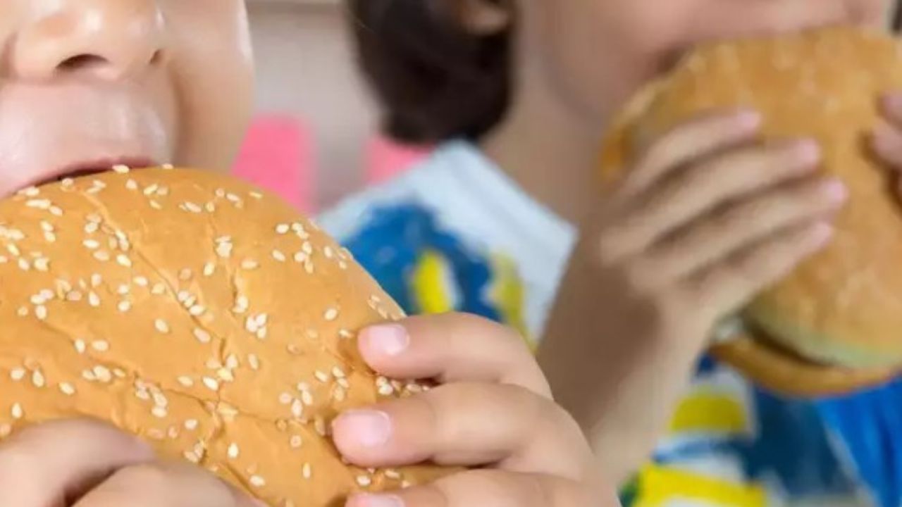 ওজন বৃদ্ধি থেকে ক্য়ানসার এক কথায় শরীরের দফারফা করে দেয় এসব খাবার। তবে তা জানা সত্ত্বেও কারও কোনও ভ্রুক্ষেপ নেই। 