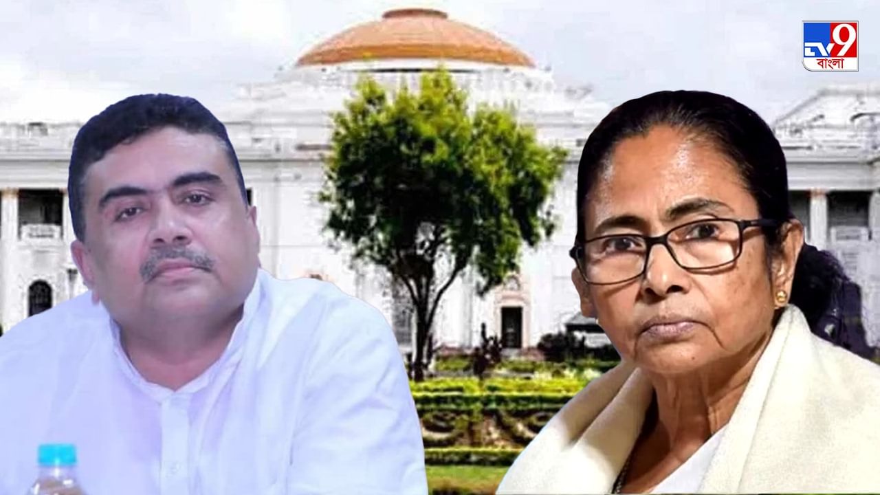 West Bengal Assembly: 'ডোন্ট টক রাবিশ...' বিধানসভায় শুভেন্দুকে বললেন মমতা