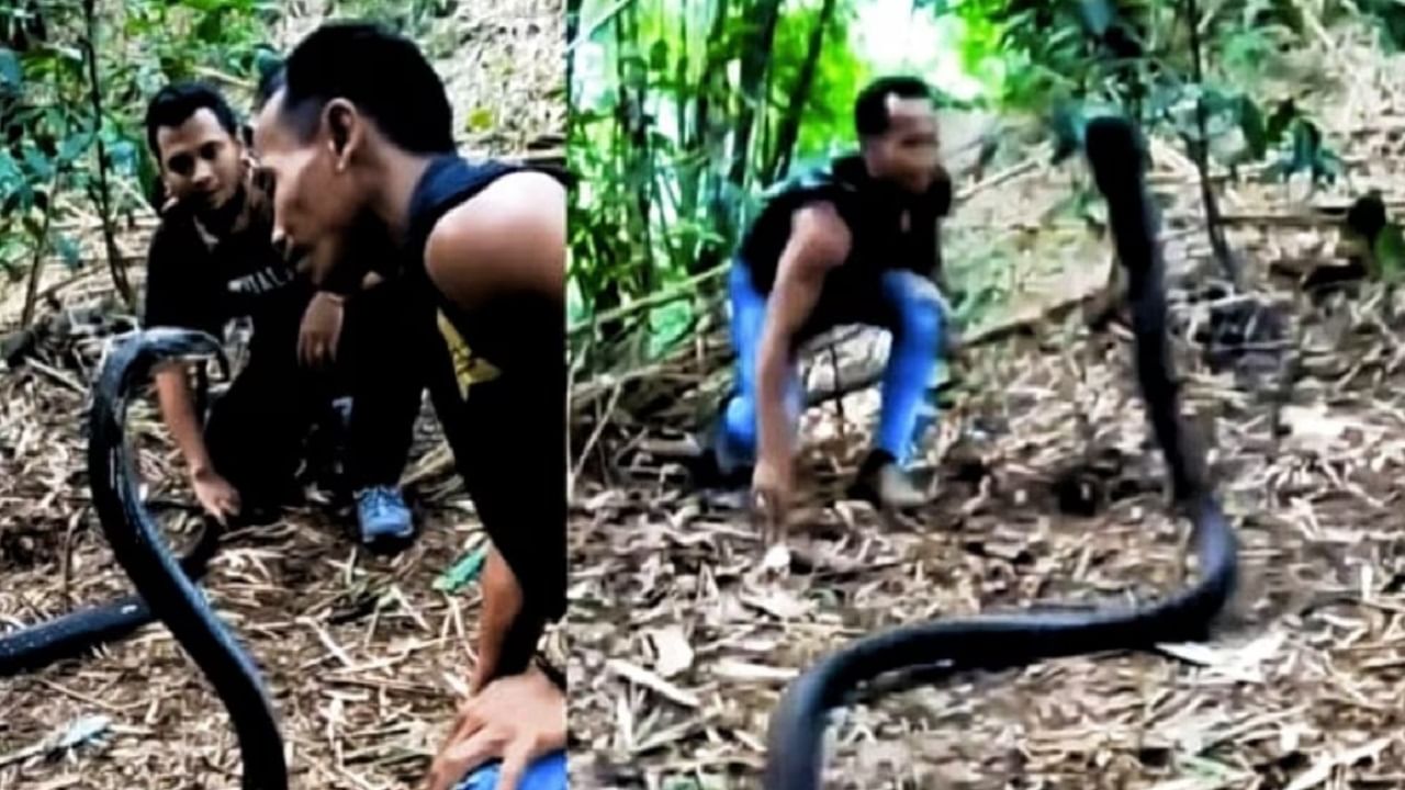 Viral Video: কিং কোবরাকে উত্যক্ত করার ফল! সামলাতে হিমশিম খেলেন উদ্ধারকারী, হাড়হিম করা ঘটনা