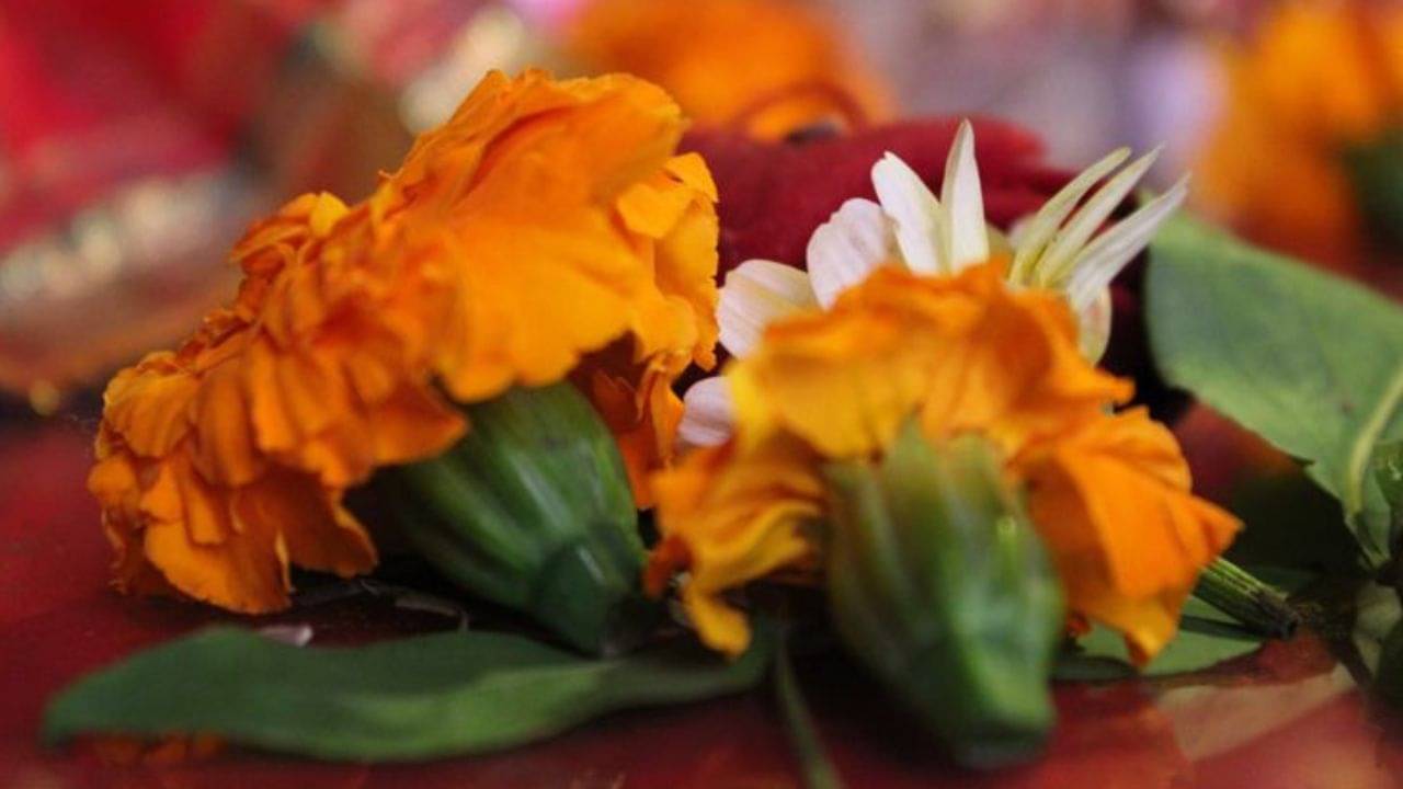 Marigold In Puja: রোজ গাঁদা ফুল দিয়ে পুজো করেন, ভুল দেব-দেবীকে অর্পণ করে নিজের সর্বনাশ ডেকে আনছেন না তো?