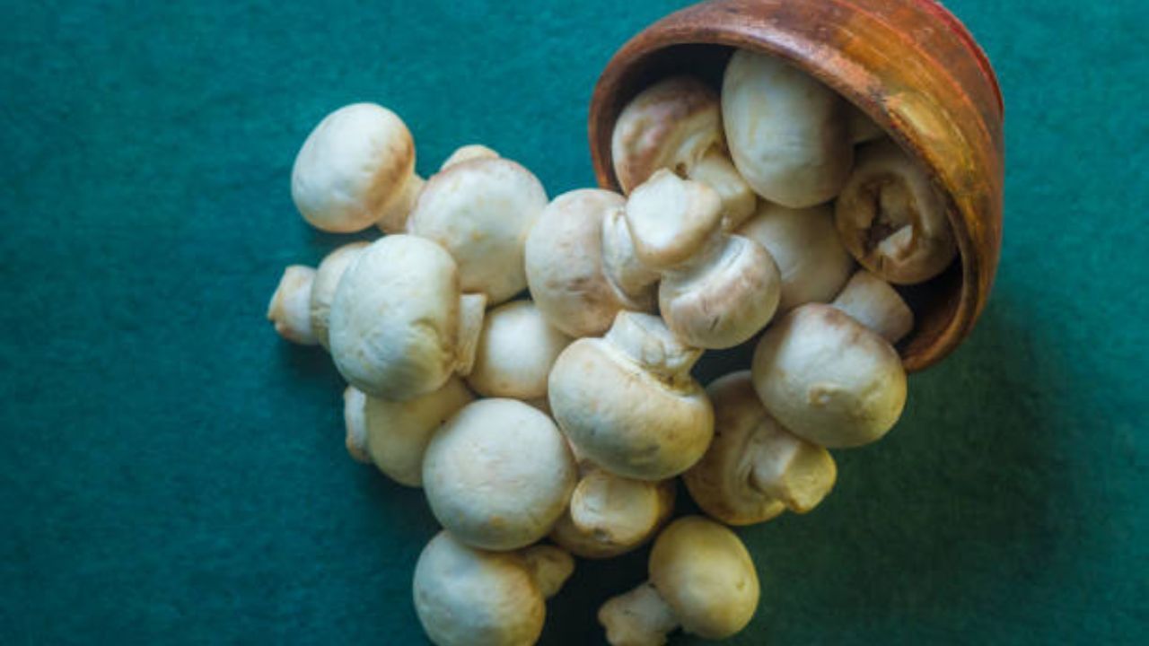 রোজ রোজ মাছ, মাংস খেতে যেমন ভাল লাগে না তেমনই শরীরের জন্যেও তা ভাল নয়। অধিকাংশই প্রচুর মশলা দিয়ে মাছ, মাংস খান। 