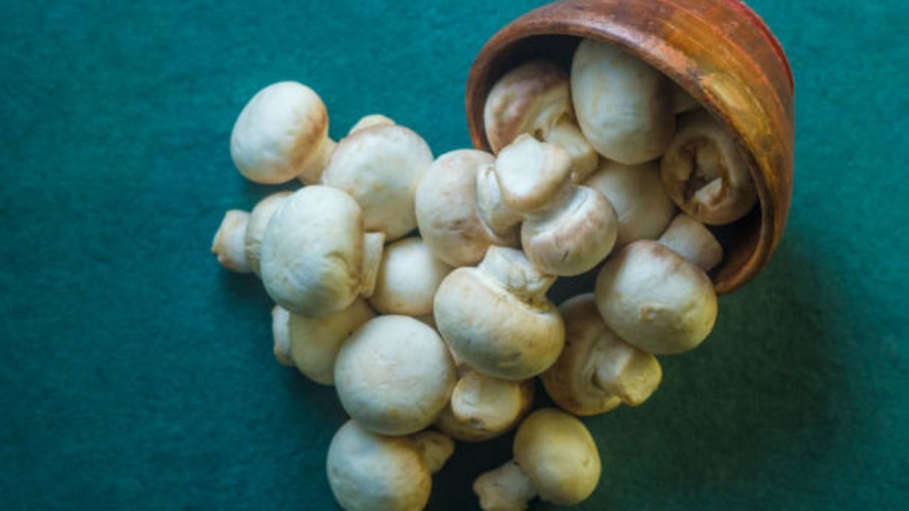 রোজ রোজ মাছ, মাংস খেতে যেমন ভাল লাগে না তেমনই শরীরের জন্যেও তা ভাল নয়। অধিকাংশই প্রচুর মশলা দিয়ে মাছ, মাংস খান। 