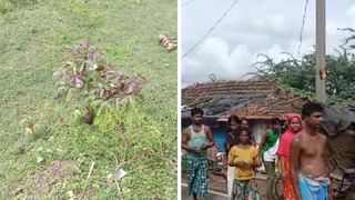 Nandigram: তৃণমূল ছাত্রপরিষদের তালিকায় থাকা যুবক সিভিক ভলান্টিয়ার কীভাবে? হৈচৈ নন্দীগ্রামে