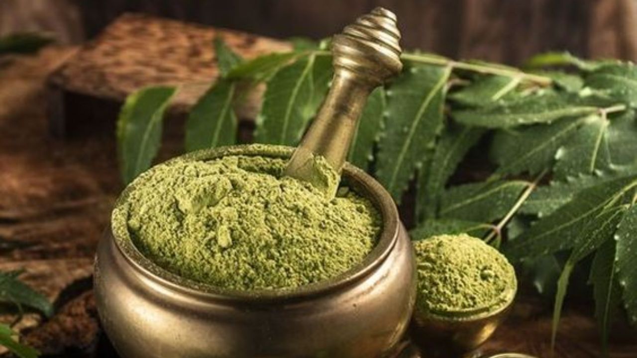 Neem For Skin: ত্বকের যত্নে একাই একশো নিম, শুধু জানতে হবে সঠিক ব্যবহার Neem For Skin: ত্বকের যত্নে একাই একশো নিম, শুধু জানতে হবে সঠিক ব্যবহার