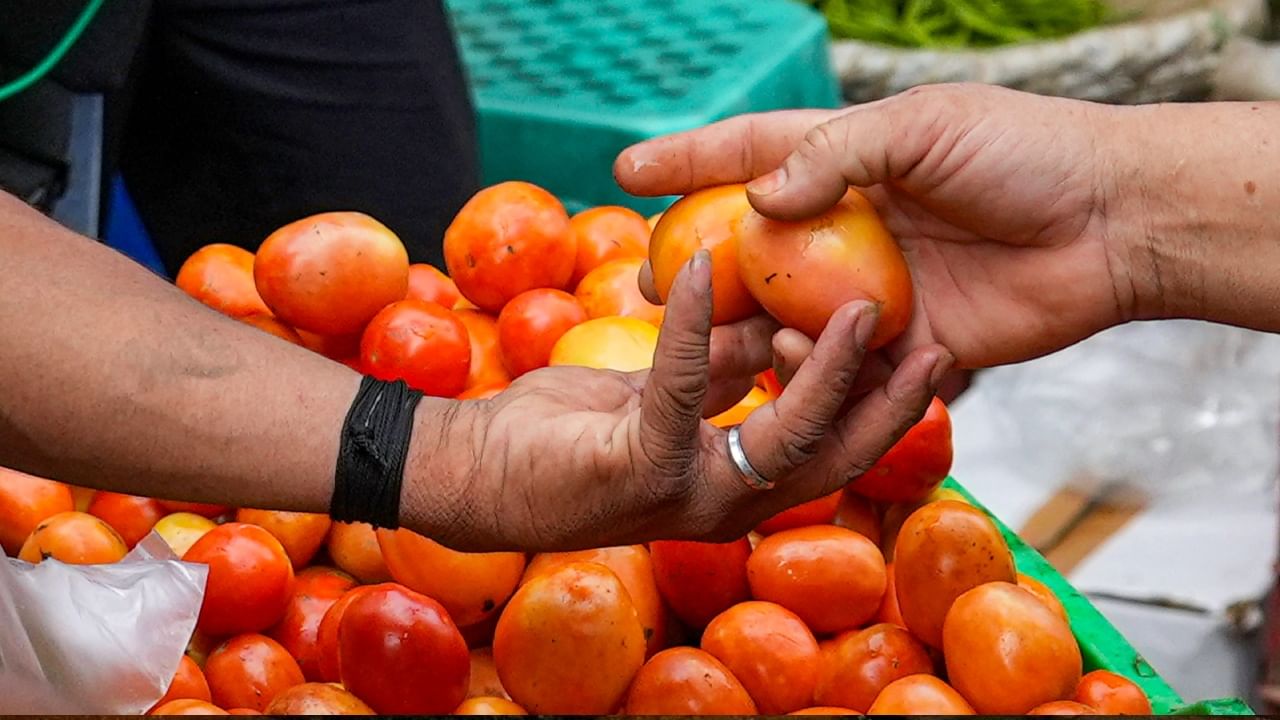 Tomato Price: টম্যাটোর দাম কমাতে পারবেন আপনিও, অভিনব ধারণা পেতে 'গ্র্যান্ড চ্যালেঞ্জ' মোদী সরকারের