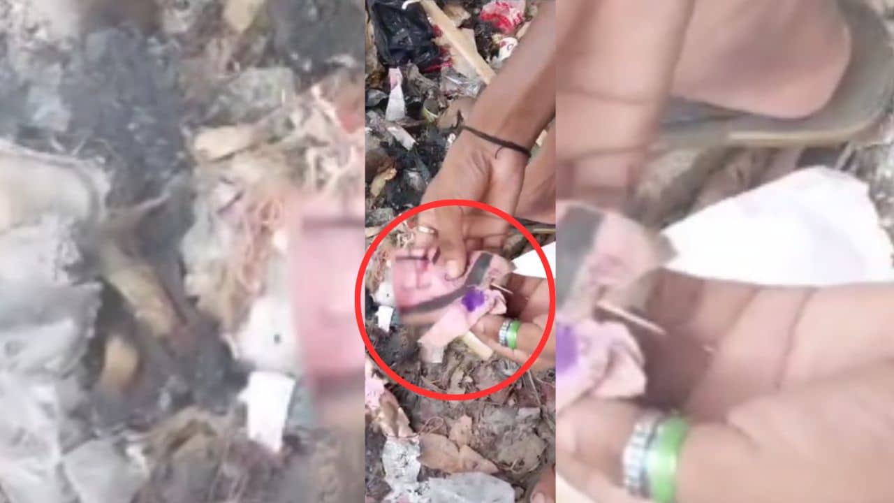 Panchayat Election Result 2023: গণনাকেন্দ্রের বাইরে এবার উদ্ধার পোড়া ব্যালট, BJP-র প্রকাশিত ভিডিয়োয় জোর জল্পনা