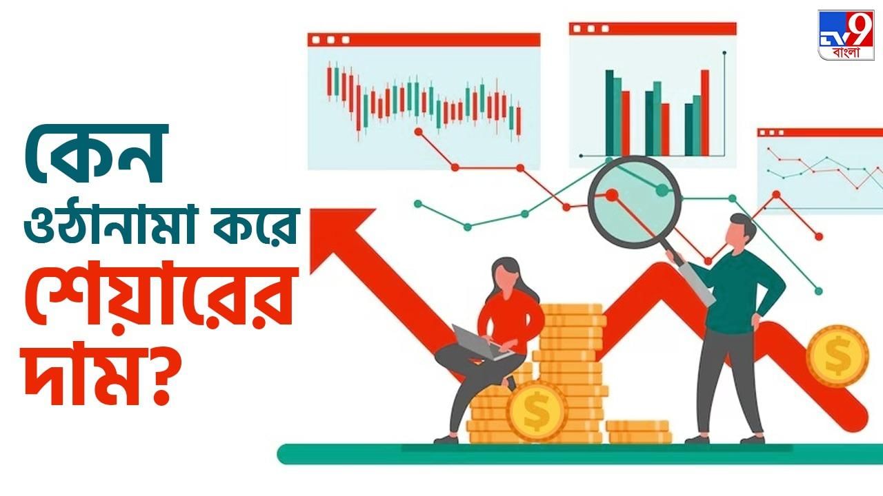 Share Market news: শেয়ারের দাম কেন ওঠানামা করে?