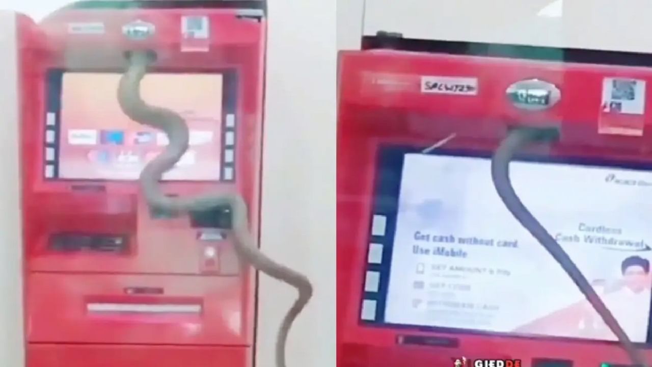 Viral Video: টাকা তুলতে ATM-এ বিরাট সাপ! স্ক্রিনে স্ক্রল করে সোজা ঢুকে পড়ল মেশিনের ভিতর, তারপর...