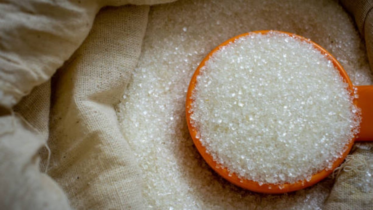 Sugar Price Hike: চিনির দাম ১২ বছরে সর্বোচ্চ, একলাফে বাড়ল ৩০ শতাংশ
