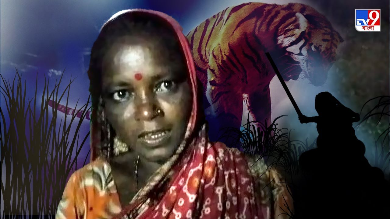 Royal Bengal Tiger Sundarban: একটা লাঠি নিয়েই মরণপণ লড়াই! বাঘের গ্রাস থেকে স্বামীকে ছিনিয়ে আনলেন 'বাঘিনী' নমিতা
