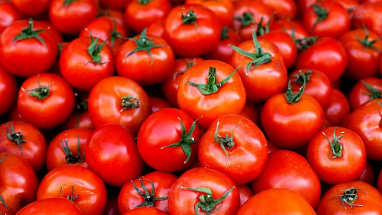 Tomato Price: মহার্ঘ টমেটো পাহারা দিতে বসল ২২০০০ টাকার সিসিটিভি