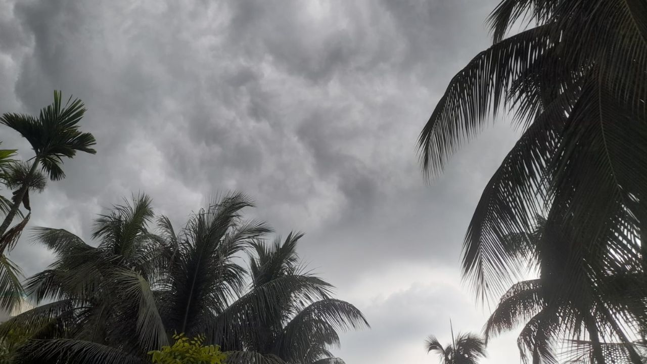 Bengal, Kolkata Weather: গরম থেকে সাময়িক মুক্তি, বৃহস্পতি থেকেই বদলাবে বাংলার আবহাওয়া