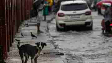 Weather Forecast: নাছোড় বৃষ্টিতে নিদ্রাহীন কুলু-মানালি, কলকাতার ঘুম কাড়ল জুলাইয়ের উষ্ণতম রাত