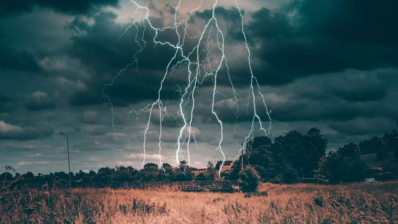 Death due to Lightning: বজ্রপাতে মৃত ১৩ গবাদি পশু!