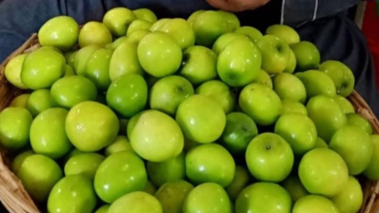 Thai Apple Rajasthan: রাজস্থানে ফল চাষে বিশাল লাভ