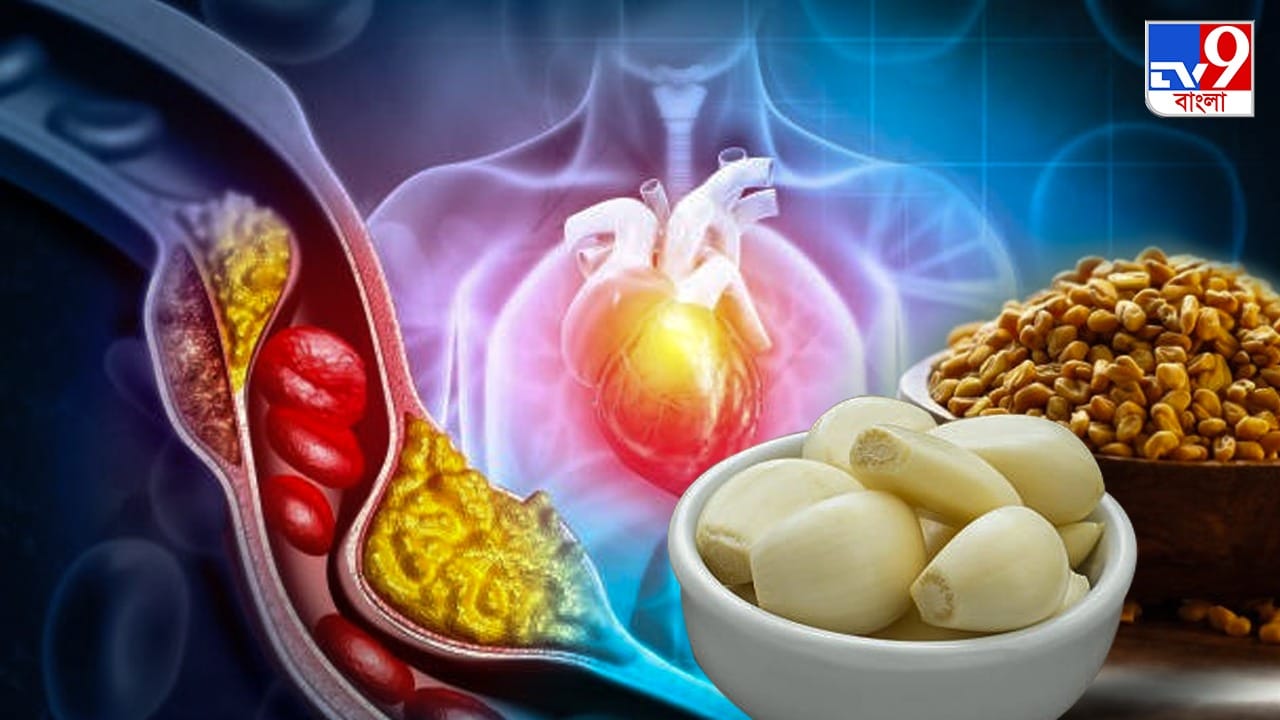 High Cholesterol এই সব খাবার নিয়মিত খেলে শিরায় কোলেস্টেরল জমবে না