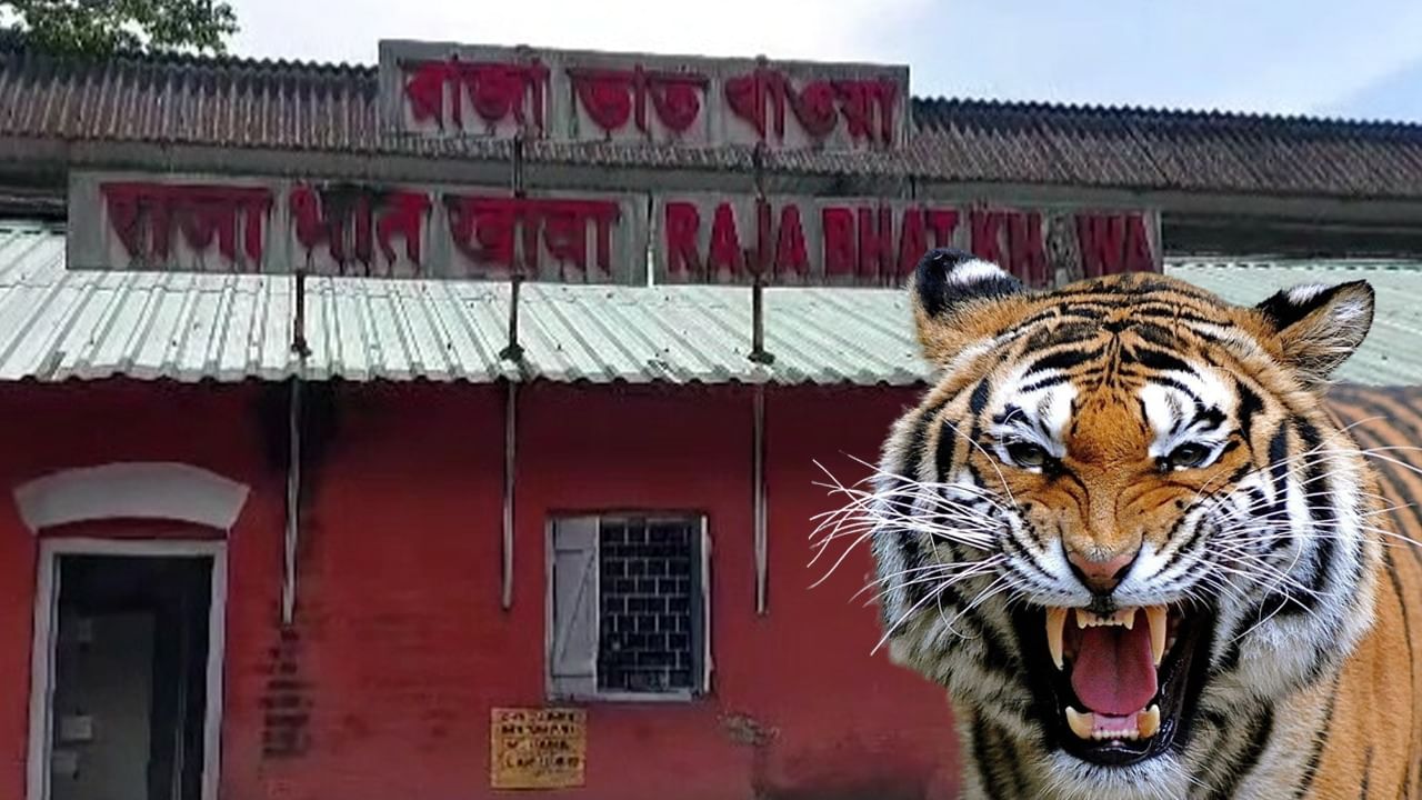 New Rail Coach Restaurant: বাঘের ডেরায় ভুরিভোজ!