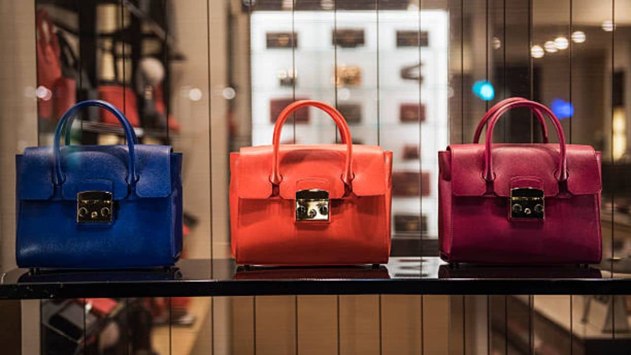 Cheapest Hand Bag Market: ৪০ হাজার টাকার ব্যাগ ৩৫০ টাকায় কিনুন কলকাতার এই মার্কেট থেকে