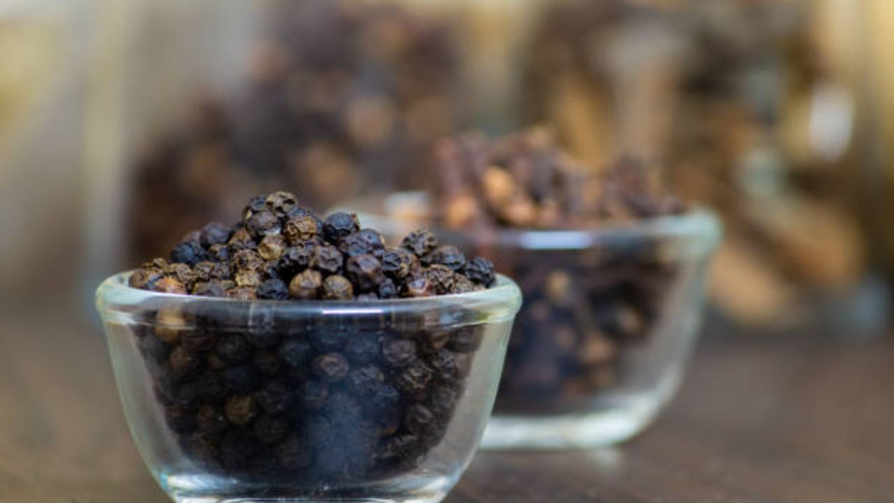 Black Pepper Benefits বর্ষা আসতেই ঘনঘন রোগে পড়ছেন? পাতে এই মশলা