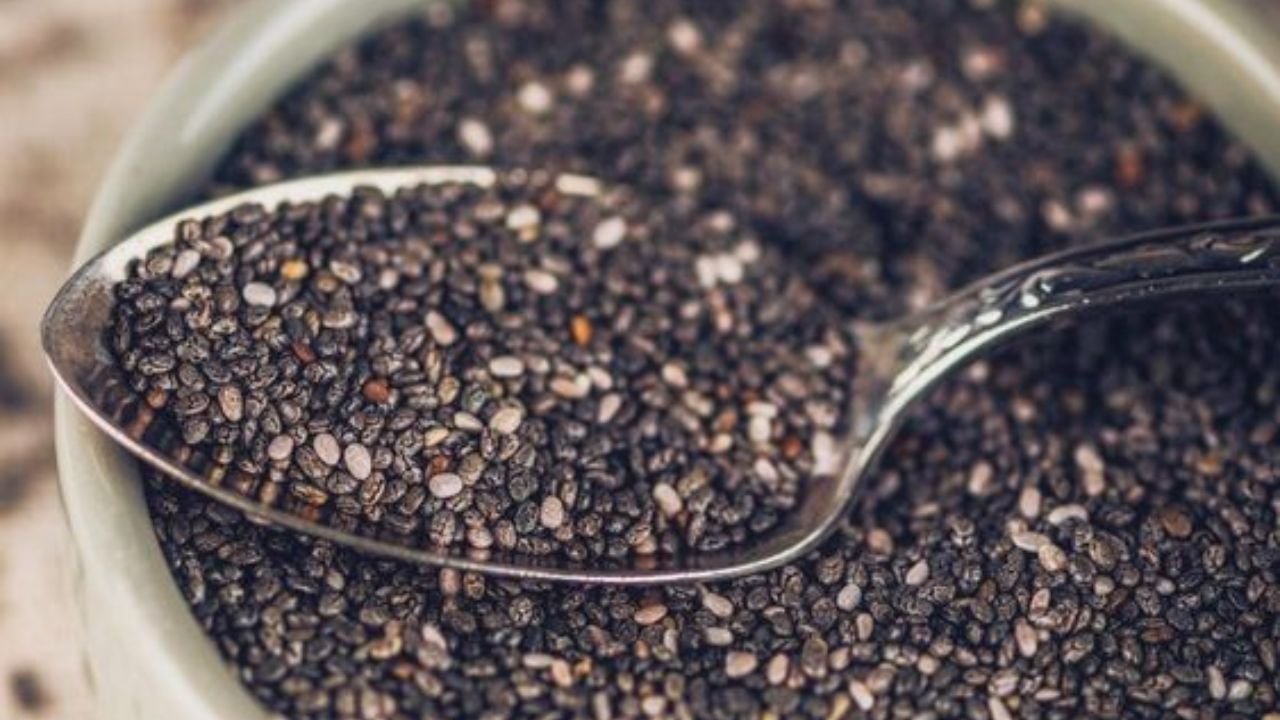 Chia Seeds: ওজন ঝরাতে মুঠো-মুঠো চিয়া বীজ খাচ্ছেন? জানুন কী ক্ষতি হচ্ছে শরীরের