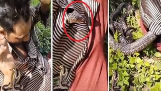 Viral Video: বিরাট সাপ নিয়ে ছেলেখেলা নির্ভীক শিশুর, ভিডিয়ো দেখে আঁতকে উঠছেন বড়রা