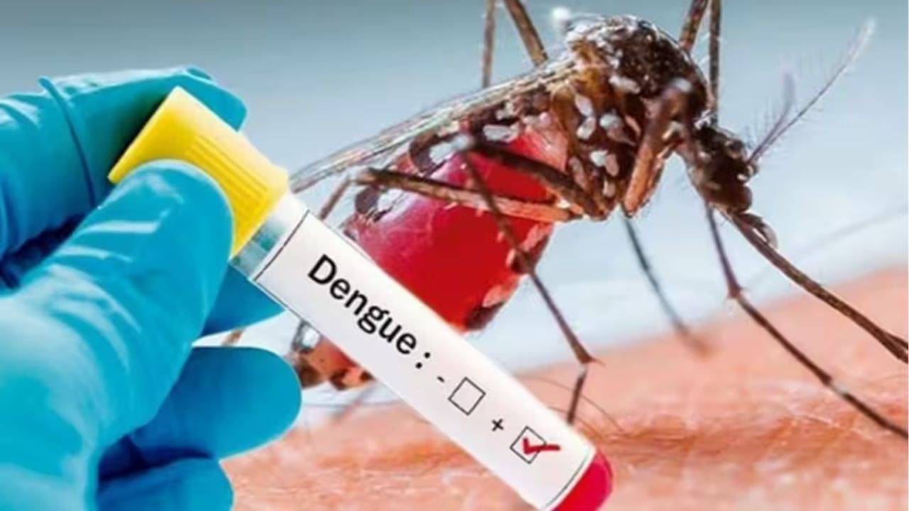 Dengue: ডেঙ্গি আক্রান্তের সংখ্যা ২০০ পার দক্ষিণ দমদমে