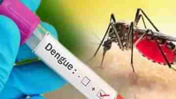 Dengue Outbreak: পাশেই বাংলাদেশ, ডেঙ্গি রোধে উত্তর ২৪ পরগনার আধিকারিকদের সঙ্গে বৈঠক স্বাস্থ্যসচিবের