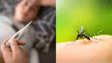 Dengue Symptoms: রাজ্যে হু-হু করে বাড়ছে ডেঙ্গি আক্রান্তের সংখ্যা, ভাইরাল জ্বর ভেবে ভুল করবেন না