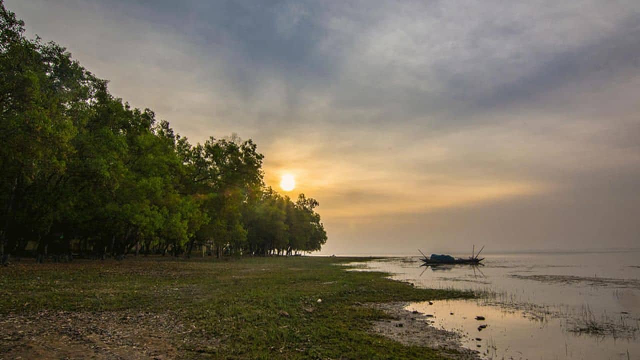 Purulia: সোনাঝুরির জঙ্গল আর কংসাবতীর পাড়, পুরুলিয়ায় ক্যাম্পিংয়ের সুযোগ মিস করবেন না