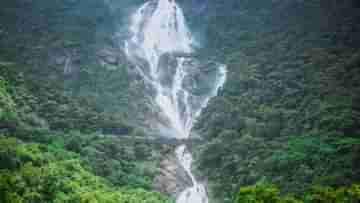 Dudhsagar Waterfall: গোয়া যাচ্ছেন? দুধসাগরের পাশে দাঁড়িয়ে সেলফি নিতে ভুলবেন না